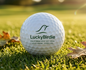 Lucky Birdie Performance Golf Balls - Premium 10-Pack Set